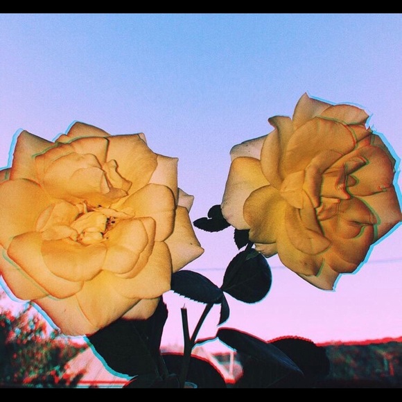 Meet your Posher, Jai - Picture 1 of 1